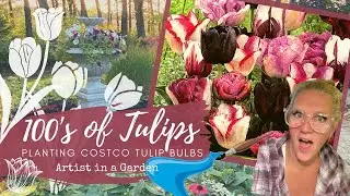 PLANTING 100&rsquo;s of TULIP BULBS/COSTCO TULIP BULBS #costcotulipbulbs #costcocanada
