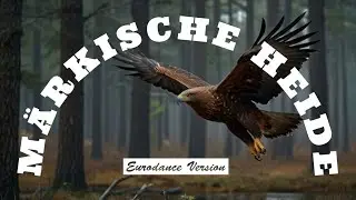 M&auml;rkische Heide - neue Version