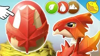 MAPLE LEAF Dragon Hatching + Battles! New DIVINES On the WIKI? - DML #960