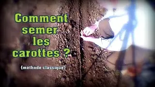 Comment semer les carottes