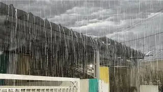 Непрерывные звуки сильного дождя 🌧