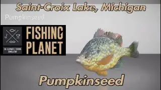 Fishing Planet Pumpkinseed Saint-Croix Lake Michigan
