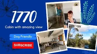 Agnes Waters | 1770 | Dog Friendly Cabins and Camping | Queensland East Coast