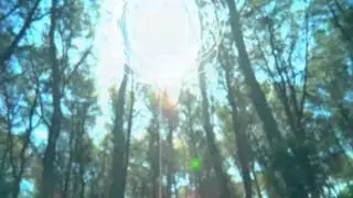 Dragonflies (Cantoma remix) - Josè Padilla & Kirsty Keatch