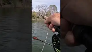Steelhead on the Feather River! #flyfishing #steelheadfishing #steelhead #riverfishing