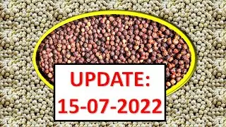 Harga Lada. Update Harga 15 Juli 2022. Harga tidak jauh beda?