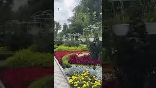 Украина...Александрия как же там красиво!!!