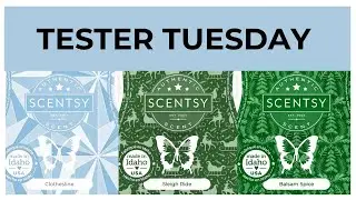 Tester Tuesday Clothesline, Sleigh Ride and Balsam Spice (Scentsy Reviews)