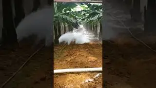 Applying Lime on Agriculture Field | It lowers Soil pH