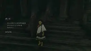 人喰い大鷲トリコ　1