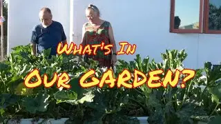 BrainStorm Acres Off Grid Garden Tour