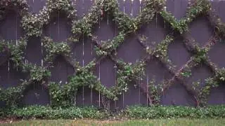 Prewett, Read & Associates | Houston Landscape Architecture & Design