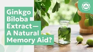 Ginkgo Biloba Extract&mdash;A Natural Memory Aid?