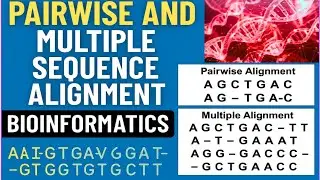 Pair Wise and Multiple Sequence Alignment for DNA and Protein (Bioinformatics) BLAST