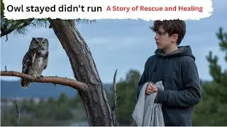 Owl stayed didn't run | A Story of Rescue and Healing