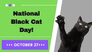October 27 National Black Cat Day Fun Facts and How to Celebrate
