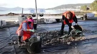 ECONOIA: limpeza de lixo mariño desde Broña (Outes).  12/03/2021