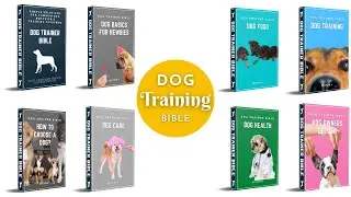 What Happens When You Use the Dog Trainer Bible?