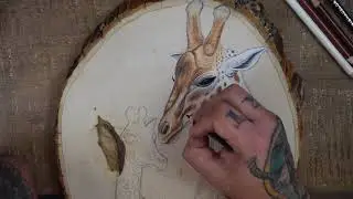 Drawing and Painting Giraffes with Prismacolor Colored Pencils and Acrylic Paint