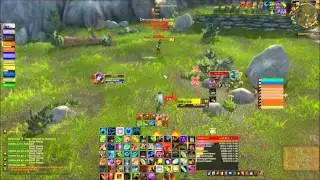 LVL90 FERAL DRUID PVP