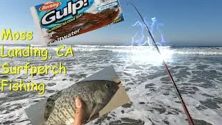 Moss Landing, CA Surfperch Fishing!