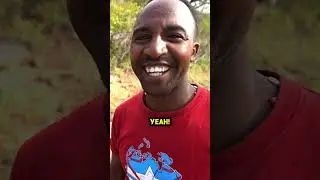 The Best Part Of A Baboon!