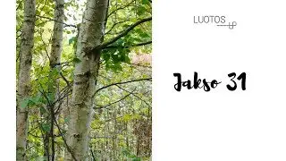 Luotos neulevodcast- jakso 31