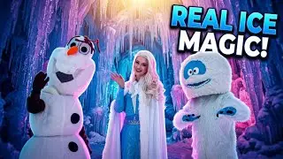 Unforgettable Ice Palace Experience!