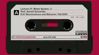 Lecture 21: Motor System, 3
