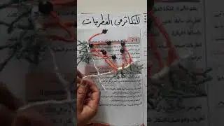 احياء سادس/درس 6/التكاثر في الفطريات/ عفن الخبز الاسود