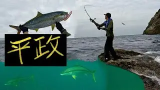 Chasing Giant Yellowtail Amberjack: A Hunter's Autumn Journal | Fishing and Underwater Documentary