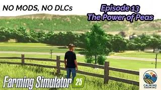 The Big Pea Harvest | Riverbend Springs vanilla challenge | Episode 13 | Farming simulator 25