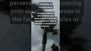 Flexible like the Bamboo - #lessons #motivational #animalwisdom #shorts #youtubeshorts #short #cat