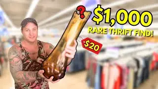 We Just Hit $1,000 Profit on eBay &mdash; And Found Our BEST Thrift Flip Yet! 💰
