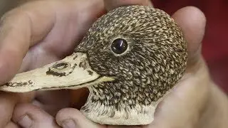 Wood Carving  Green Wing Teal Head Part 1