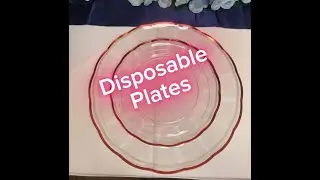 Disposable Party Plates Review