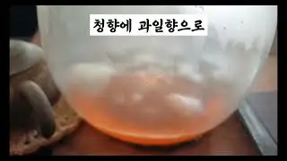 자연차 아카데미 전래차 보이차 다육이 동운암 동다원