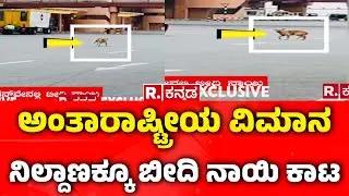 Security lapse at Kempegowda Airport in Bengaluru : ಬೆಂಗಳೂರು ಏರ್&zwnj;ಪೋರ್ಟ್&zwnj;ಗೂ ಬೀದಿ ನಾಯಿ ಕಾಟ