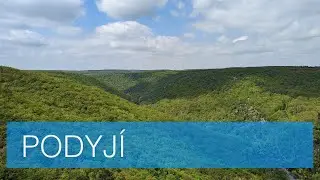 Podyjí (31 km) - 4K