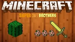 Minecraft - SUPER CRAFT BROS (Wins)