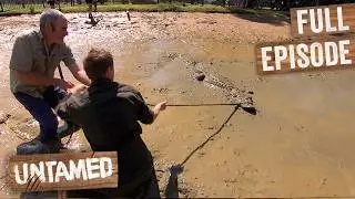 Rangers Enter Huge Crocodile's Pond To Move It 😱 Full Episode