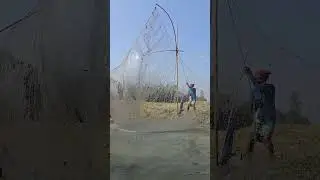 Lift Net Fishing🐟🐟 #fishing #shortsvideo