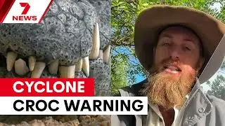 'They're on the move': A crocodile warning for the wet season in Australia | 7NEWS