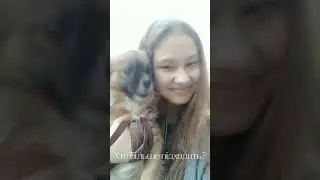 Може йорка завести?😅 #блог#vlog#собака#dog#dogs#shortvideo#shortsvideo#short#shorts#dogshorts#собаки