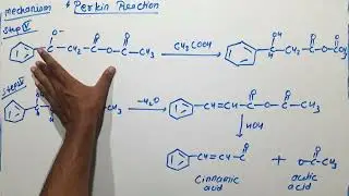 Perkin reaction with mechanism