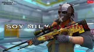 LIVE | CS2- FACEIT & PREMERIE | !steam !discord