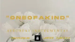 Free Afrobeat Instrumental 