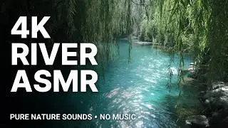 Powerful River Flow 4K 🌊 #shorts #nature #river #powerful