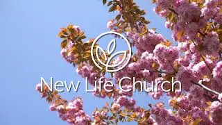 New Life Church - Motion Background Foyer 002