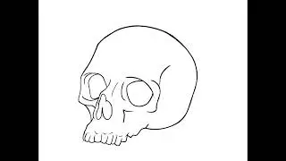 Creating Realism Skull with Procreate #tattoodesign #procreate #skulltattoo 